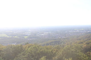 Aktuelles Bild von Steinhagen